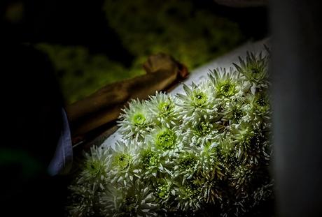 Batalla floral de Laredo.