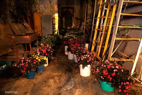 Batalla floral de Laredo.