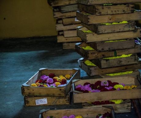 Batalla floral de Laredo.