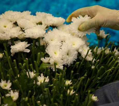 Batalla floral de Laredo.