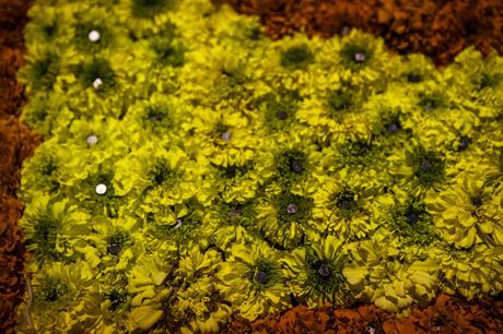 Batalla floral de Laredo.