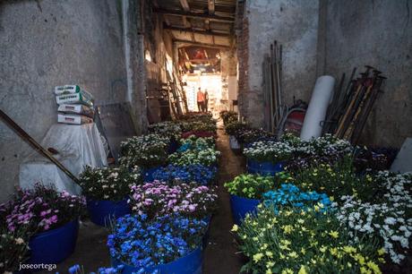 Batalla floral de Laredo.