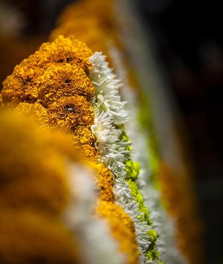 Batalla floral de Laredo.