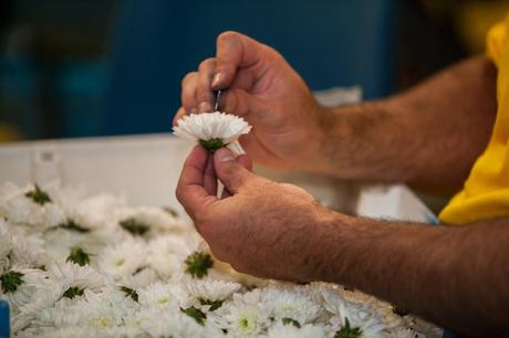 Batalla floral de Laredo.
