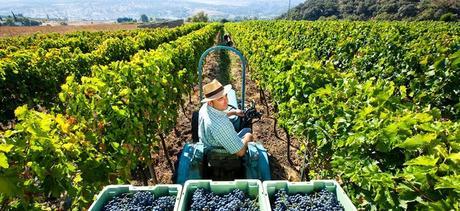 F. Schatz, equilibrio y armonia