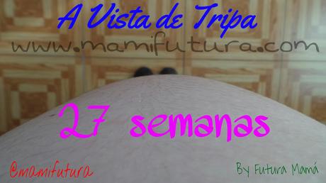 A Vista de Tripa XXIII