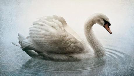 interpretadora sueños