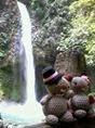 Castores Bodiles