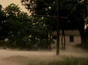 Texas Killing Fields 2011