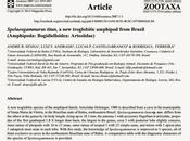 Nueva especie anfípodo troglobio Brasil