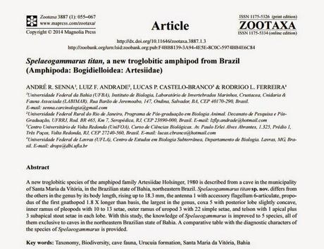 Nueva especie de anfípodo troglobio de Brasil