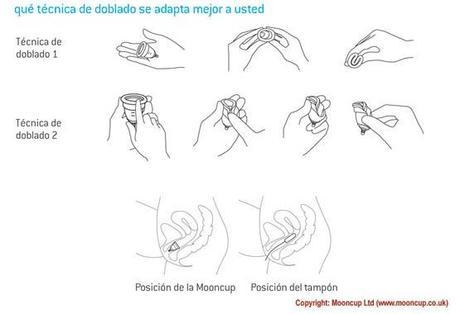 #Review# ~Mi experiencia con la Copa Menstrual 