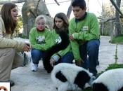 Navidad Aquarium Madrid