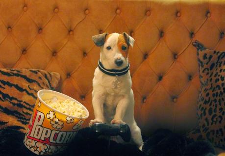 Solo pueden quedar 31