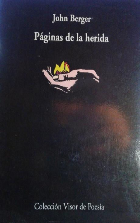 Biblioteca en Venta (3): Colección Visor: