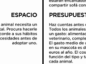 Consejos para elegir mascota #Infografía #Mascota #Consejos