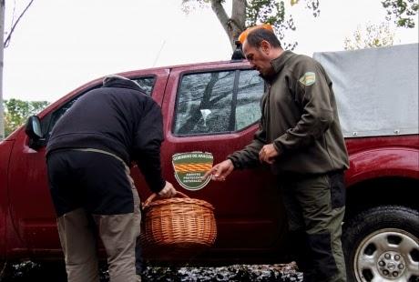 Los agentes de protección de la naturaraleza - APNs del Gobierno de Aragón intensifican la vigilancia en la recogida de setas en el Parque Natural de la Sierra y Cañones de Guara