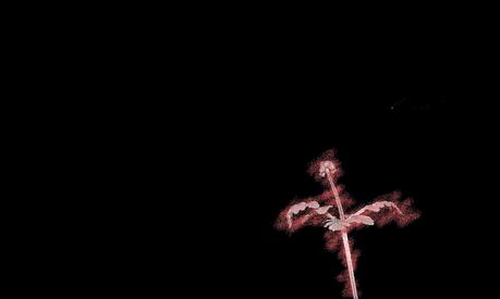 Moodboard para olvidadizos