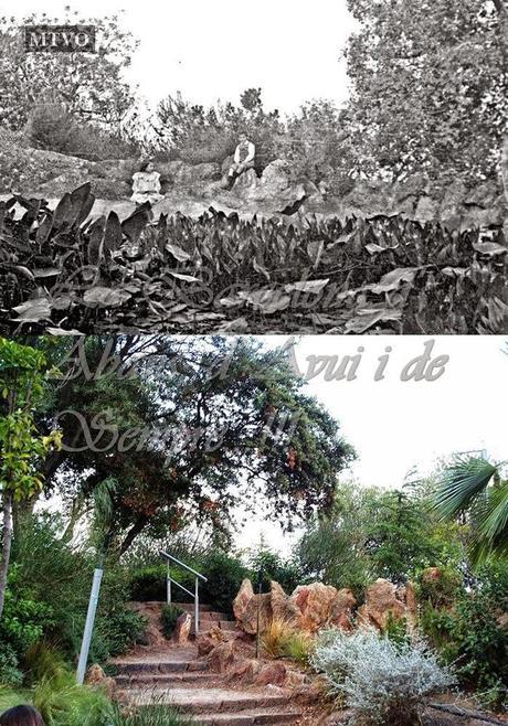 ARXIU FAMILIA ESCOLÀ-GIL ,HISTÒRIA DEL PARC DEL TURÓ DE MONTEROLS,1ª PART...23-11-2014...!!!