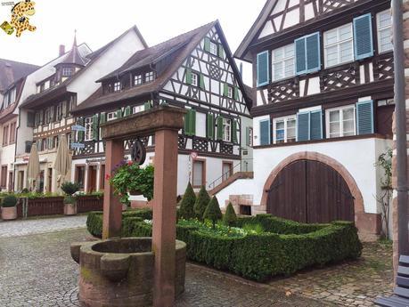 Qué ver en la Selva Negra en 3 días?