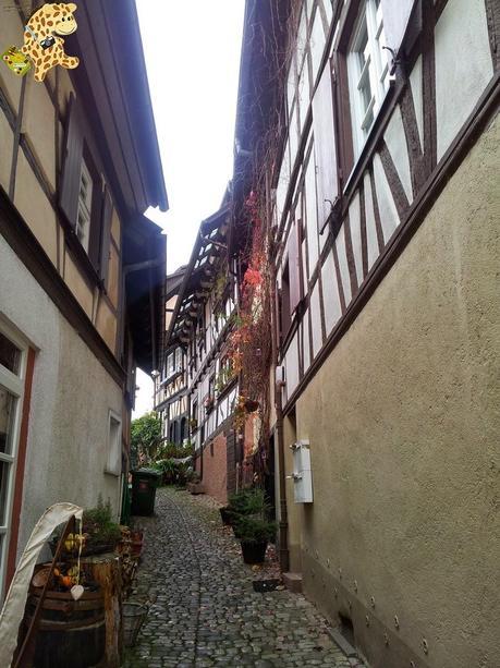 Qué ver en la Selva Negra en 3 días?