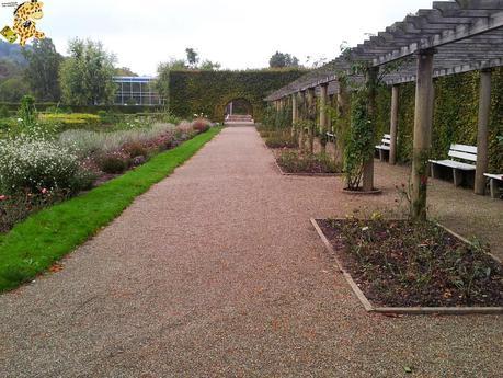 Qué ver en la Selva Negra en 3 días?