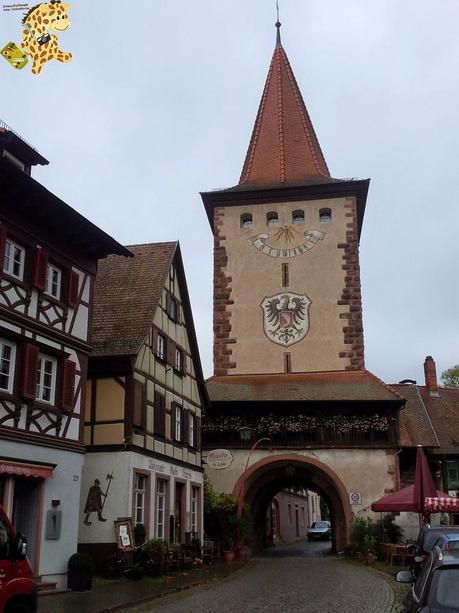 Qué ver en la Selva Negra en 3 días?