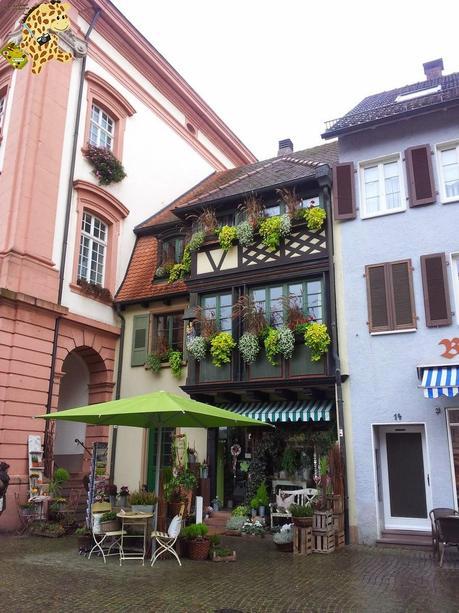 Qué ver en la Selva Negra en 3 días?