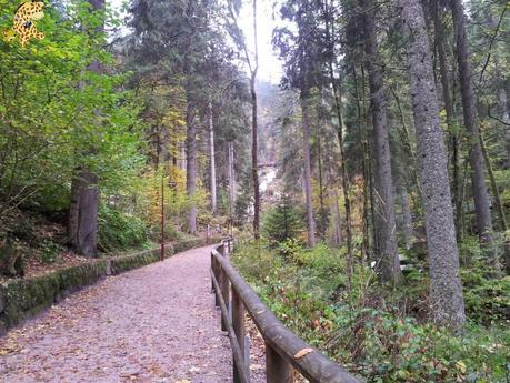 Qué ver en la Selva Negra en 3 días?