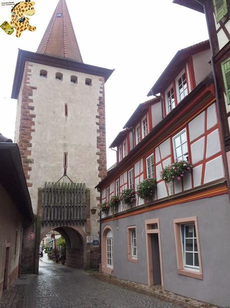 Qué ver en la Selva Negra en 3 días?