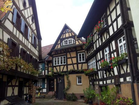 Qué ver en la Selva Negra en 3 días?