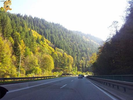 Qué ver en la Selva Negra en 3 días?