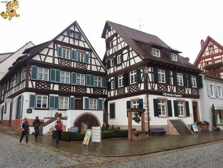 Qué ver en la Selva Negra en 3 días?