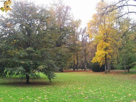 Qué ver en la Selva Negra en 3 días?