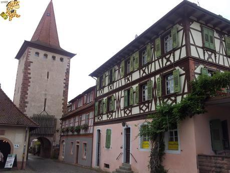 Qué ver en la Selva Negra en 3 días?