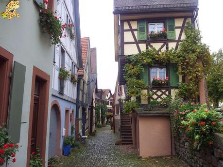 Qué ver en la Selva Negra en 3 días?