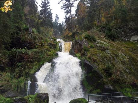 Qué ver en la Selva Negra en 3 días?