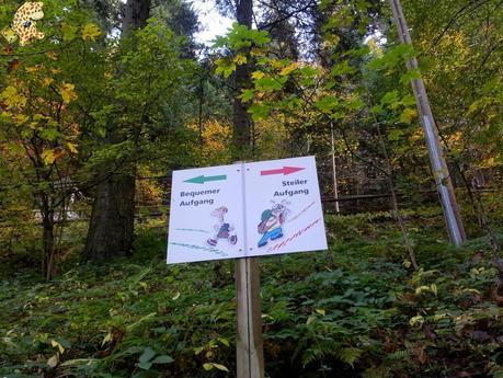 Qué ver en la Selva Negra en 3 días?