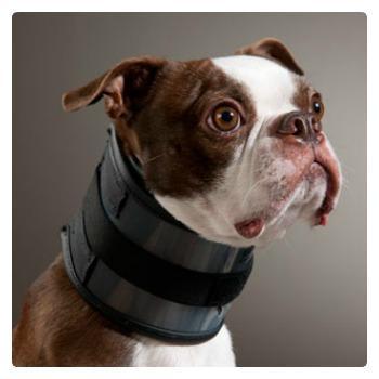 collar cervical