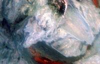 Cupcakes sin lactosa