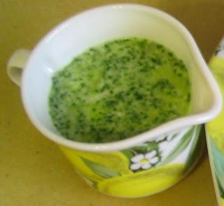 Mojo de perejil a mi manera