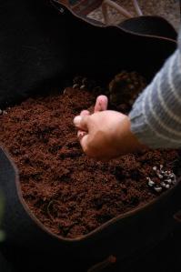 Fibra de coco y humus de lombriz. DSC_0062