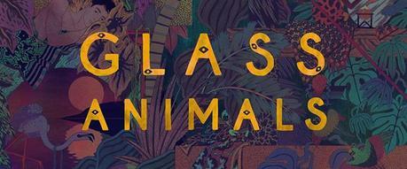 glass animals