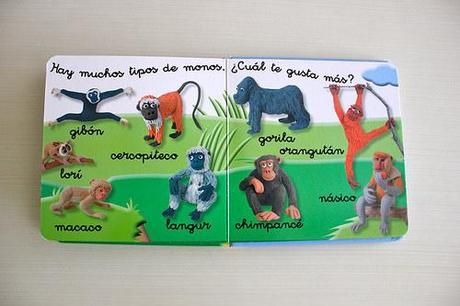 Animales salvajes interior