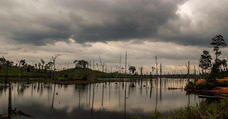 Panorámica de los pantanos, Thakhek Loop