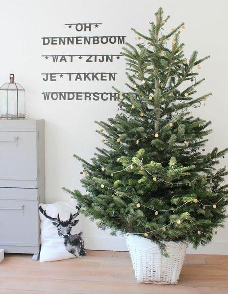 ¡Comenzamos con la navidad!