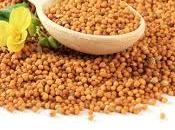 Propiedades semillas: Utilizarlas nuestra dieta vegana