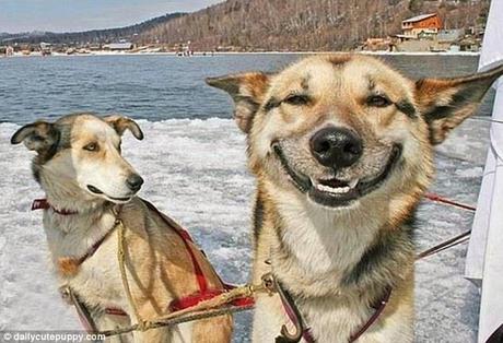 Puntos cardinales de Jatte:2-Risas y sonrisas