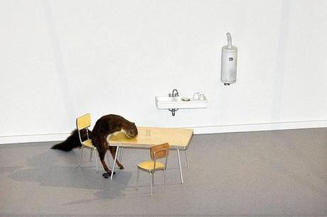 6909997192 fc5a161662