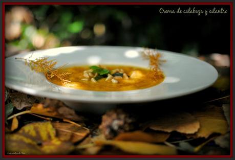crema de calabaza y cilantro las recetas de tere 04